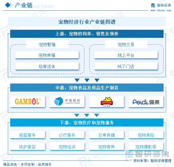 宠物经济行业产业链图谱