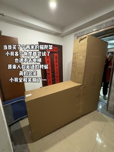 不敢想路上有多少人蛐蛐我的猫爬架…