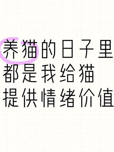 养猫的日子里，都是我在给猫提供情绪价值...