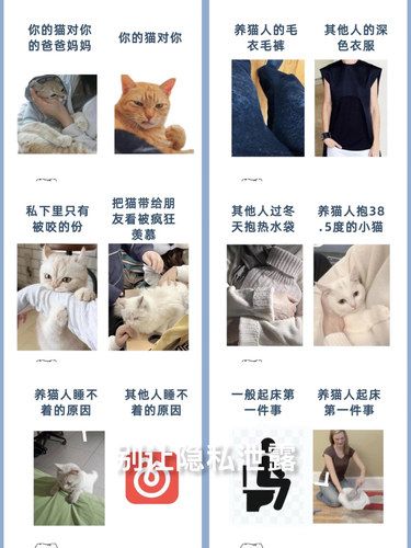 养猫人的人间真实