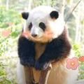 https://p0.meituan.net/userheadpicbackend/faa4ab848ee8fca54b6ea3492f7632cb4878.jpg%40120w_120h_1e_1c_1l%7Cwatermark%3D0