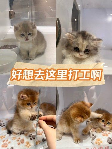 我能在这里待一天…