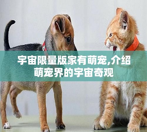 宇宙限量版家有萌宠,介绍萌宠界的宇宙奇观