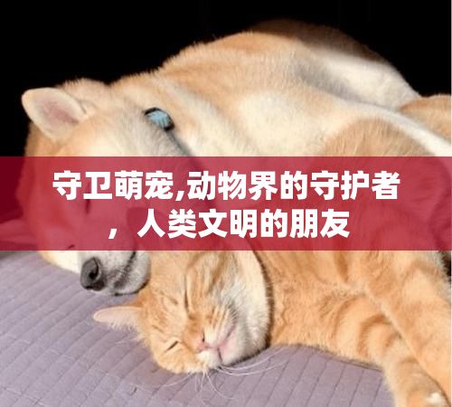 守卫萌宠,动物界的守护者，人类文明的朋友