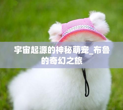 宇宙起源的神秘萌宠_布鲁的奇幻之旅
