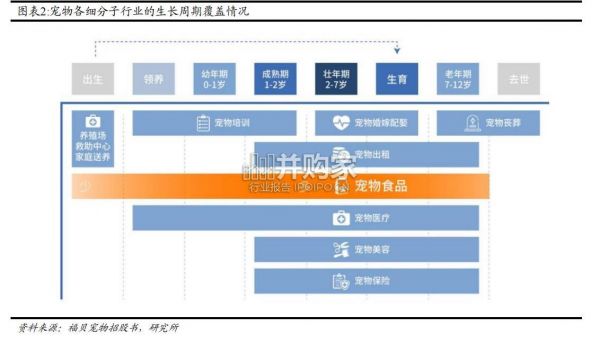 宠物行业细分赛道解析报告（26页）