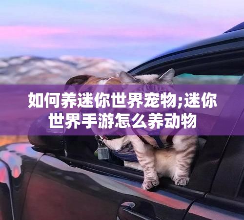 如何养迷你世界宠物;迷你世界手游怎么养动物