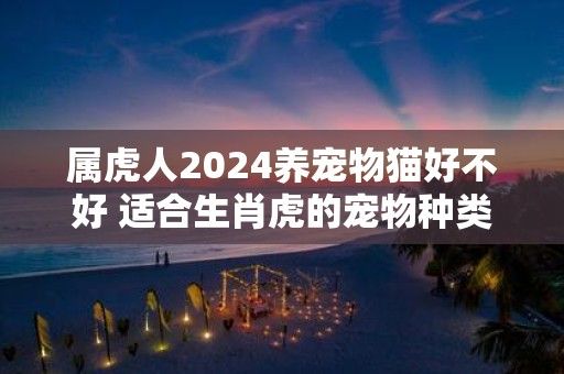 属虎人2024养宠物猫好不好 适合生肖虎的宠物种类