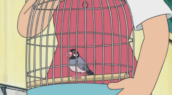 哆啦A梦：各人家里都养啥宠物，静香家的是鸟，胖虎家的是狗