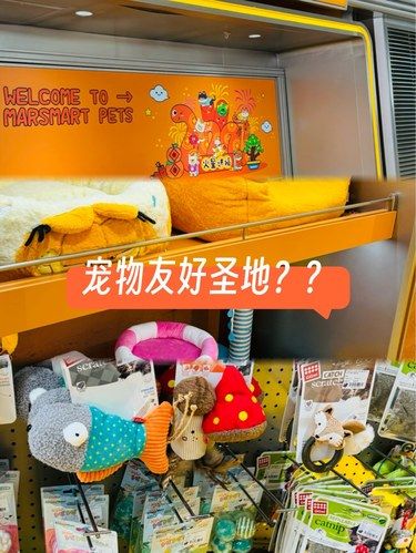 宠物商店不过如此