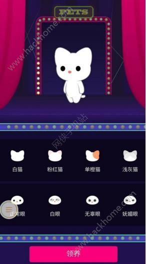 qq空间宠物猫升级快？qq空间宠物怎么挣钱图片1