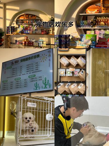他这里宠物洗澡真不错 还实惠