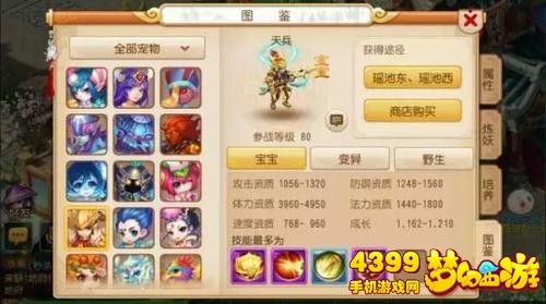 梦幻西游手游血宠怎么打书