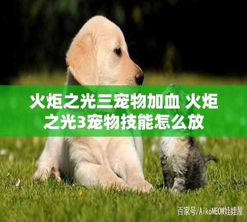 火炬之光三宠物加血 火炬之光3宠物技能怎么放