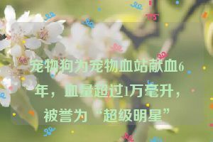 宠物狗为宠物血站献血6年，血量超过1万毫升，被誉为“超级明星”