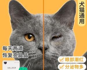 猫咪过敏怎么办（用药治疗猫咪过敏）