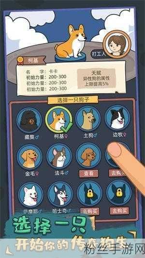 萌宠狂奔，乐享无限，狗跑宠物狗模拟器游戏下载热潮席卷休闲跑酷界