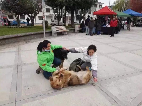 急救演习现场