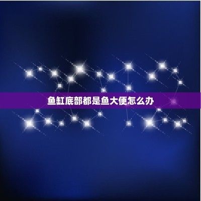 底滤鱼缸排污口大便堵塞需要及时清理以保证水质和鱼的健康：如何清理鱼缸底部的粪便 鱼缸百科 第1张