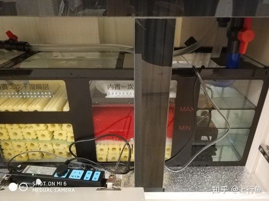 底滤鱼缸排污口大便堵塞需要及时清理以保证水质和鱼的健康：如何清理鱼缸底部的粪便 鱼缸百科 第3张