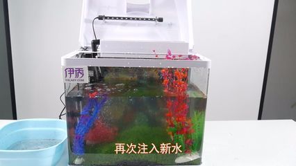 家里的鱼缸怎么处理：家里的鱼缸如何清洗，如何保养？