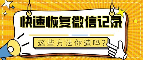 掌握宠物急救：全面了解狗狗的紧急应对措施