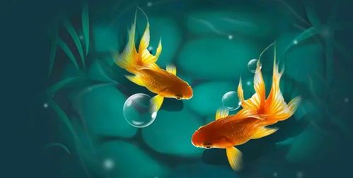 金鱼饲养指南：揭秘色彩饲料的奥秘，打造多彩水族世界！