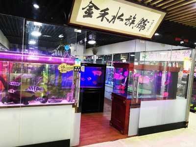 观赏鱼寄养多少钱（观赏鱼寄养费用怎么算？） 九鼎鱼缸 第2张