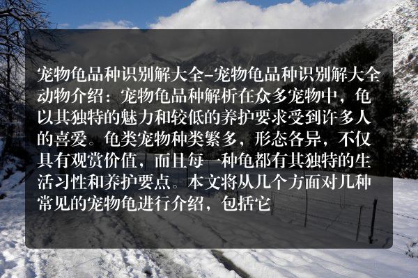 宠物龟品种识别解大全-宠物龟品种识别解大全