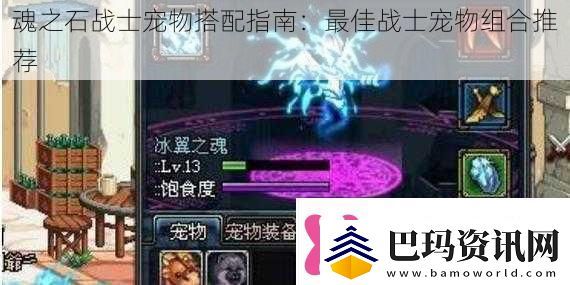 魂之石战士宠物搭配指南