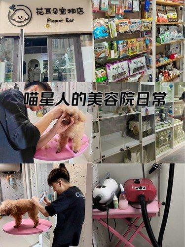 喵星人的美容院日常