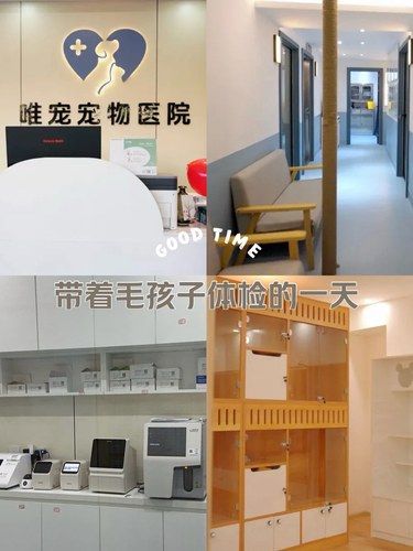 宠物的健康守护者 