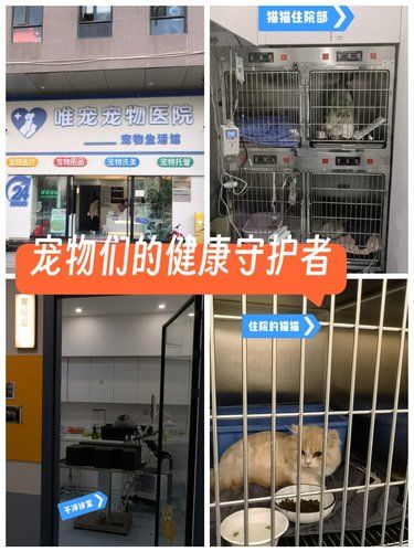 24小时宠物医院，专业接待，干净负责