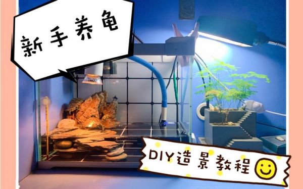 龟缸如何造陆地