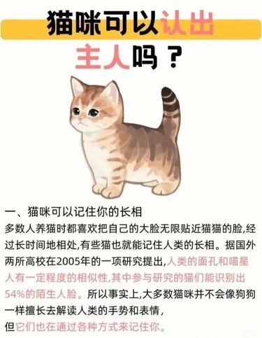 真相了，猫咪可以认出主人吗？