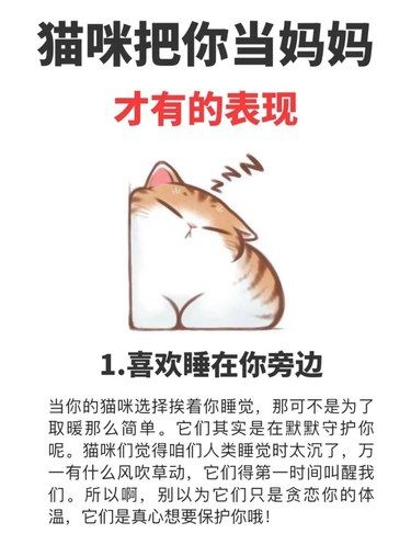 毛孩子认老母亲的表达方式