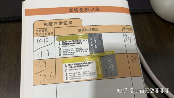 宠物猫医院打疫苗多少钱一针（猫咪宠物店打疫苗多少钱一针）