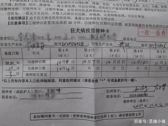 宠物猫医院打疫苗多少钱一针（猫咪宠物店打疫苗多少钱一针）