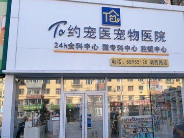 医术超赞 环境优美 推荐！！