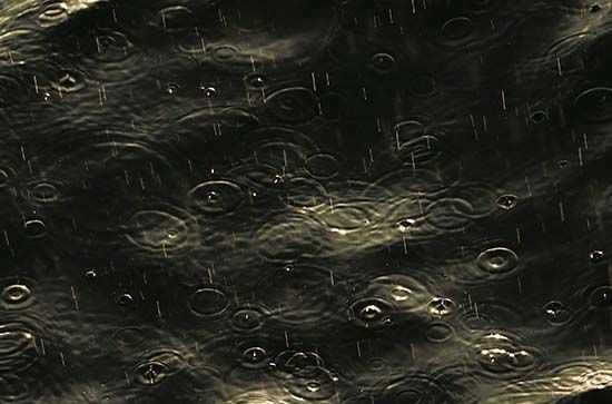 南昌今日天气小雨 南昌2024年8月11日天气预报