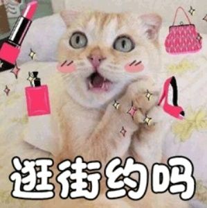 上海商场出现了“毛孩子”专用电梯，有人点赞，有人却说……
