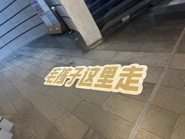 上海商场出现了“毛孩子”专用电梯，有人点赞，有人却说……