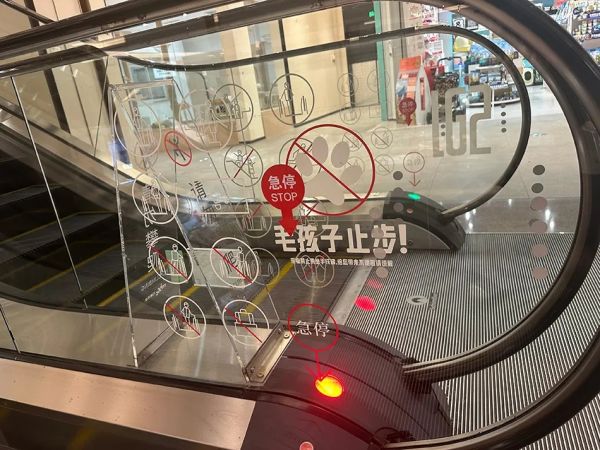 上海商场出现了“毛孩子”专用电梯，有人点赞，有人却说……