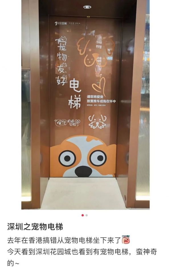 上海商场出现了“毛孩子”专用电梯，有人点赞，有人却说……