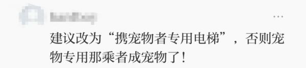 上海商场出现了“毛孩子”专用电梯，有人点赞，有人却说……