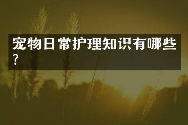 宠物日常护理知识有哪些？