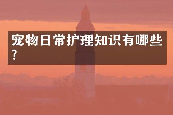 宠物日常护理知识有哪些？