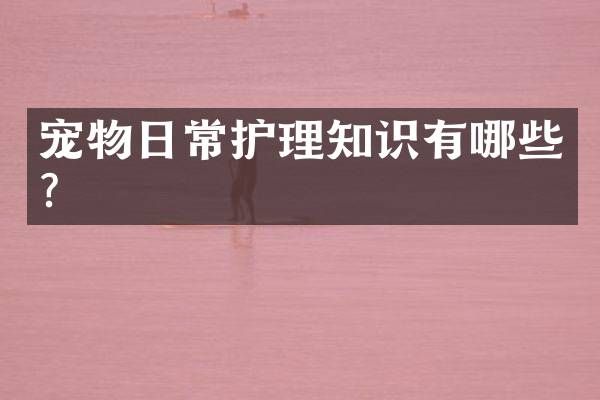宠物日常护理知识有哪些？