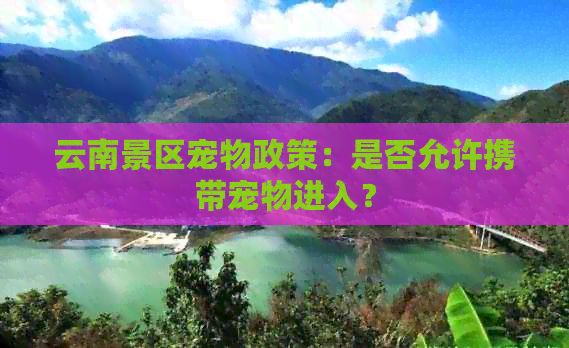 云南景区宠物政策：是否允许携带宠物进入？