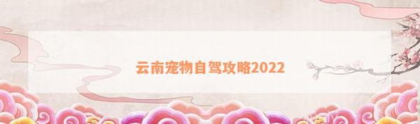 云南宠物自驾攻略2022